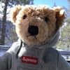 bearlord09